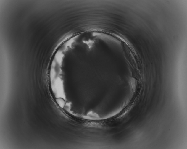 X0000082940806200703020126