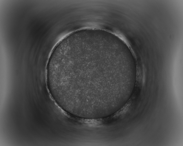 X0000082940807200703020126