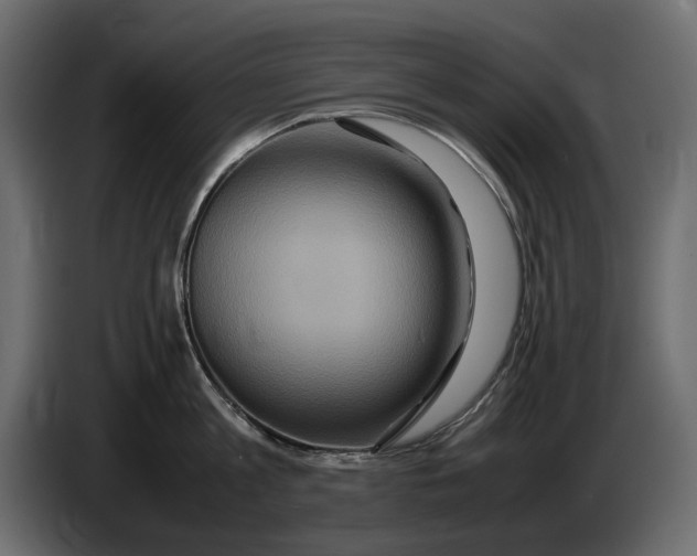 X0000082940813200703020126