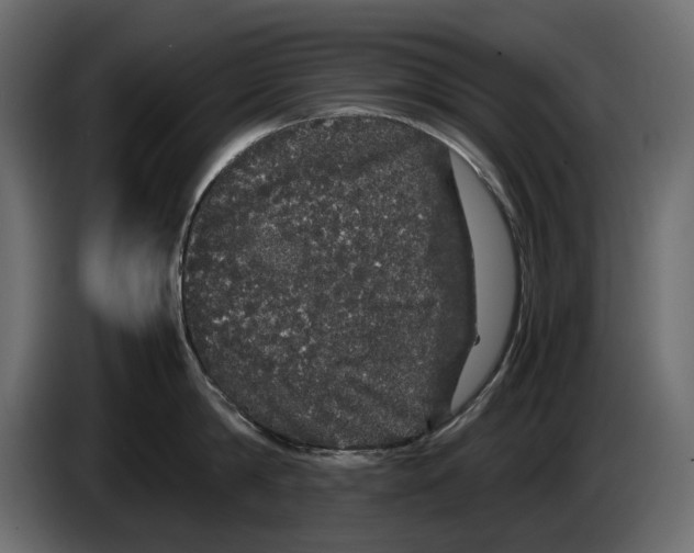 X0000082940814200703020126