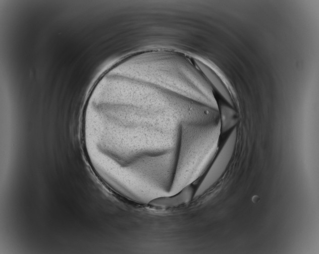 X0000082940815200703020126