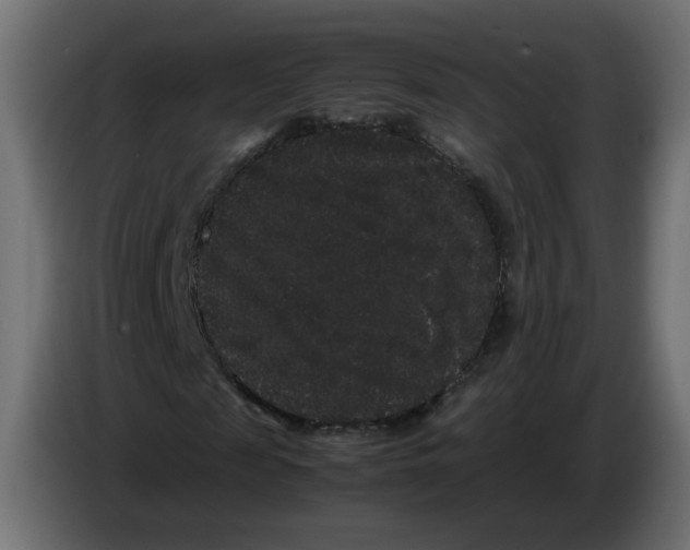 X0000082940817200703020125