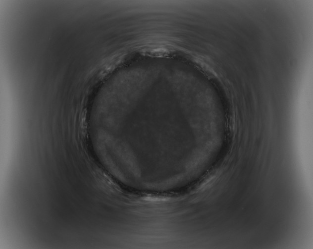 X0000082940818200703020125