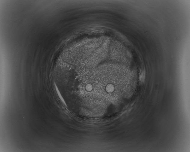 X0000082940819200703020125