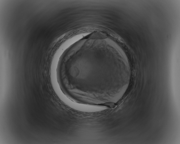 X0000082940822200703020125