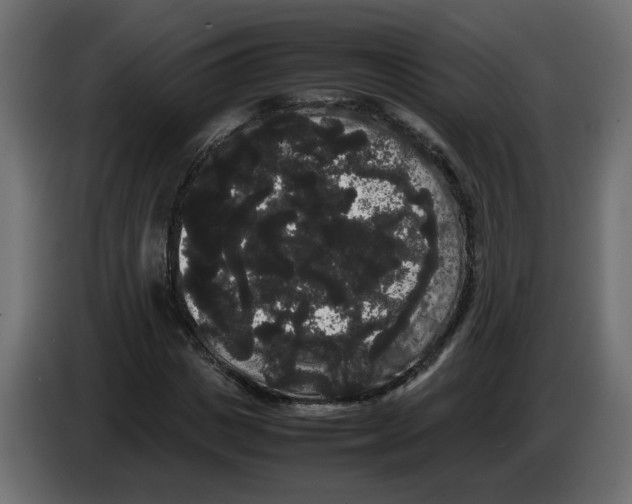 X0000082940825200703020125