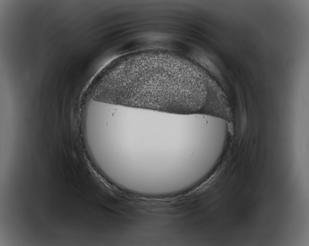 X0000082940828200703020125