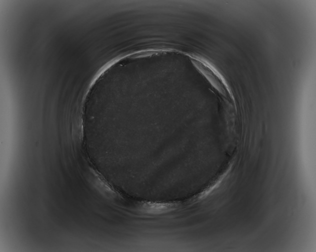 X0000082940829200703020125