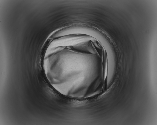 X0000082940830200703020125