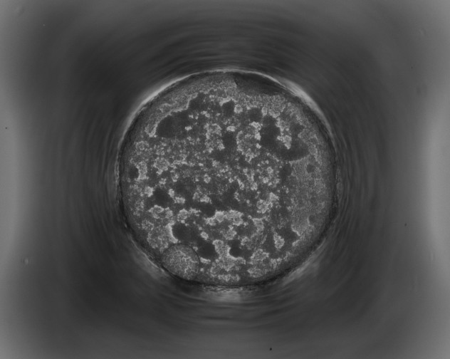 X0000082940831200703020125