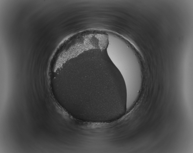 X0000082940832200703020125