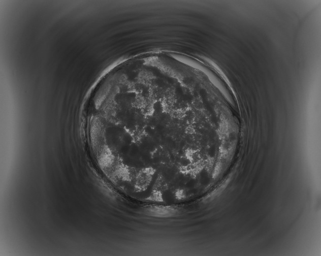 X0000082940835200703020125