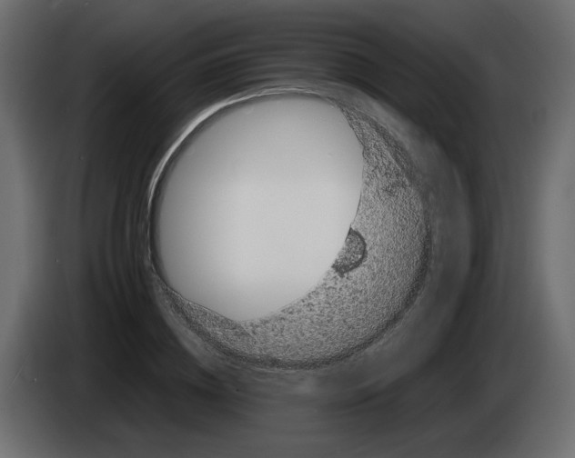 X0000082940836200703020125