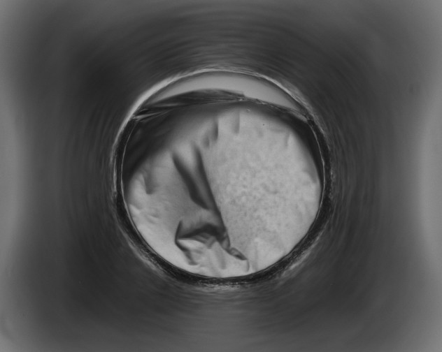 X0000082940838200703020125