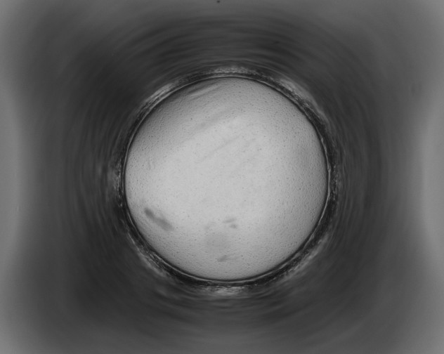 X0000082940841200703020125