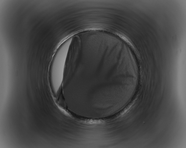 X0000082940842200703020125