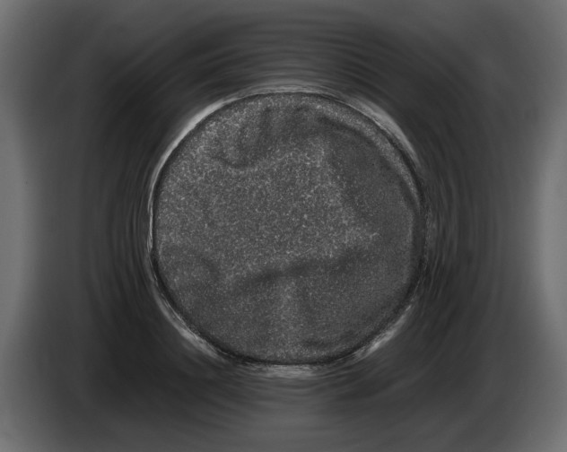 X0000082940844200703020125