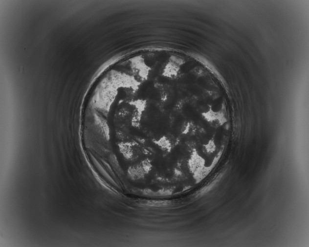 X0000082940845200703020125