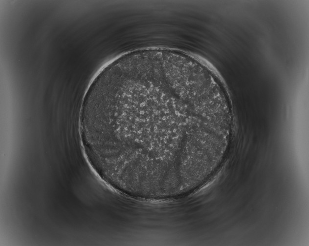 X0000082940847200703020125