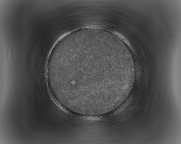 X0000082940848200703020125