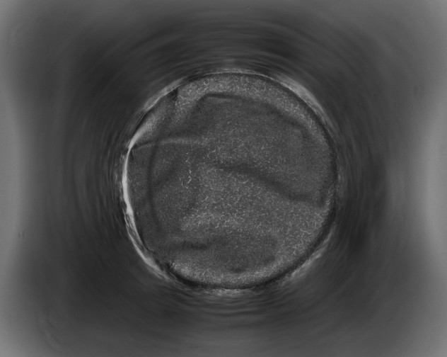 X0000082940849200703020126