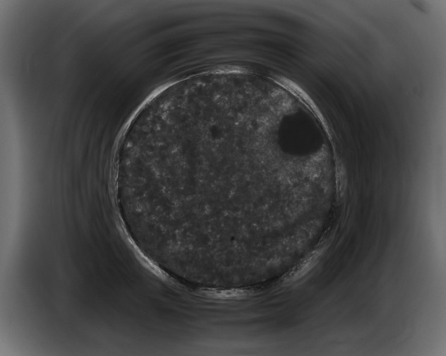 X0000082940851200703020126