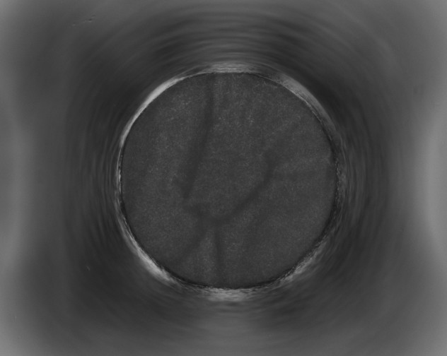 X0000082940852200703020126