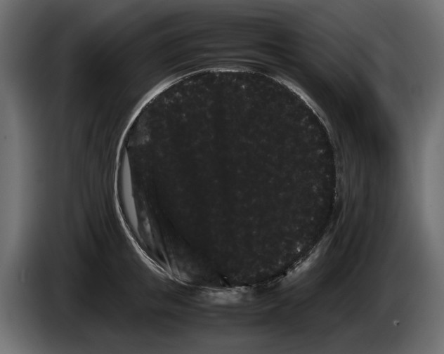 X0000082940853200703020126