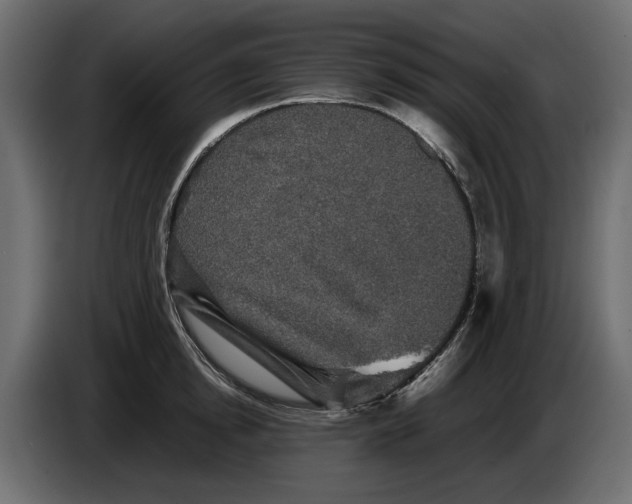 X0000082940854200703020126