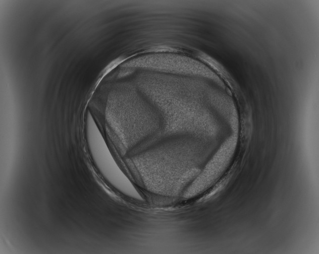 X0000082940858200703020126