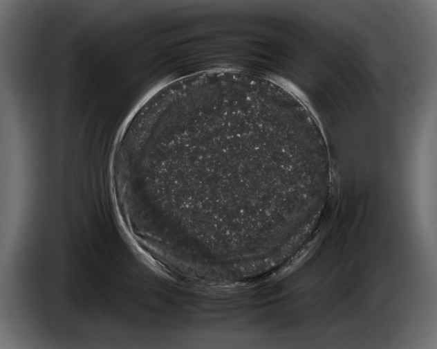 X0000082940859200703020126