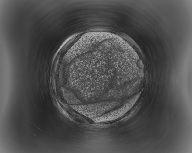 X0000082940860200703020126