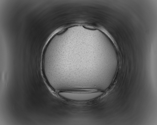 X0000082940861200703020126