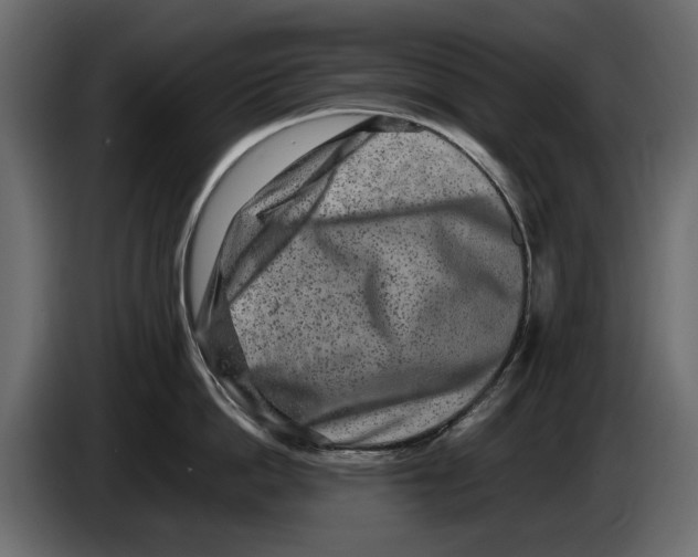 X0000082940862200703020126