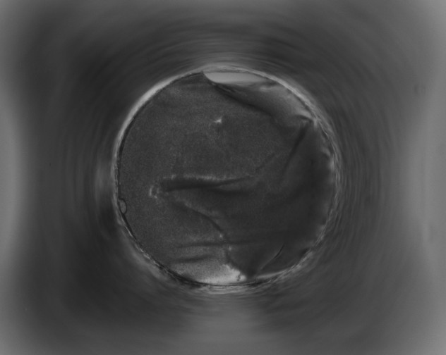 X0000082940864200703020126