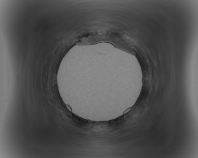 X0000082940865200703020125