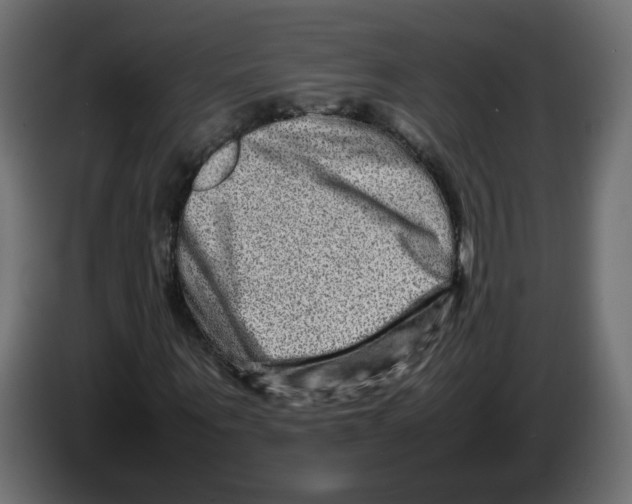 X0000082940867200703020125