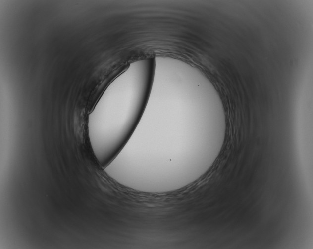 X0000082940868200703020125