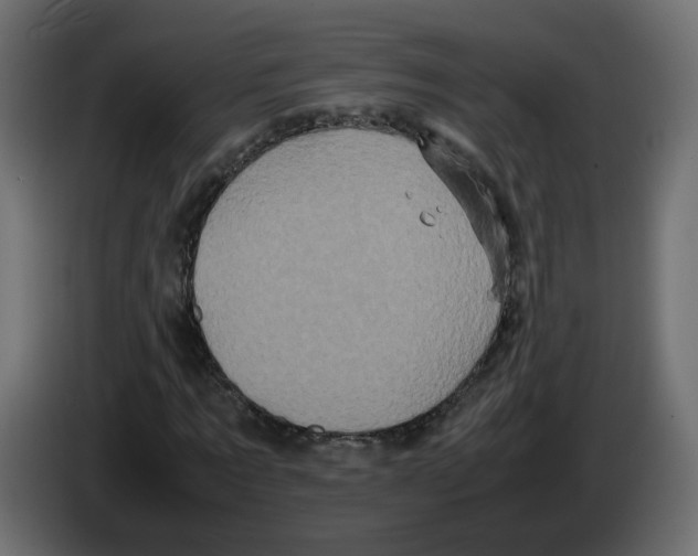 X0000082940869200703020125