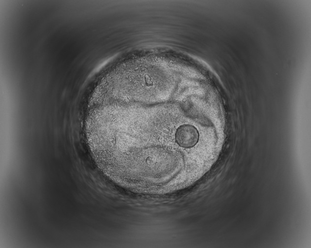 X0000082940871200703020125