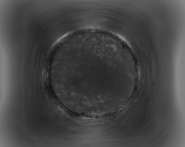 X0000082940872200703020125