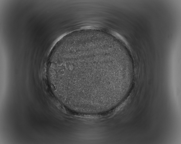 X0000082940875200703020125