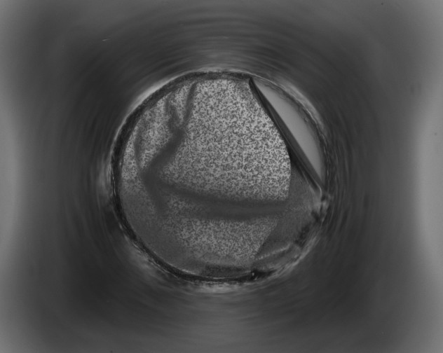 X0000082940876200703020125