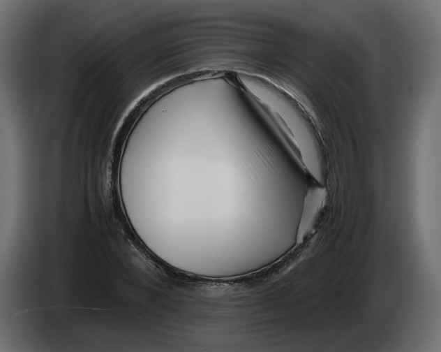 X0000082940880200703020125