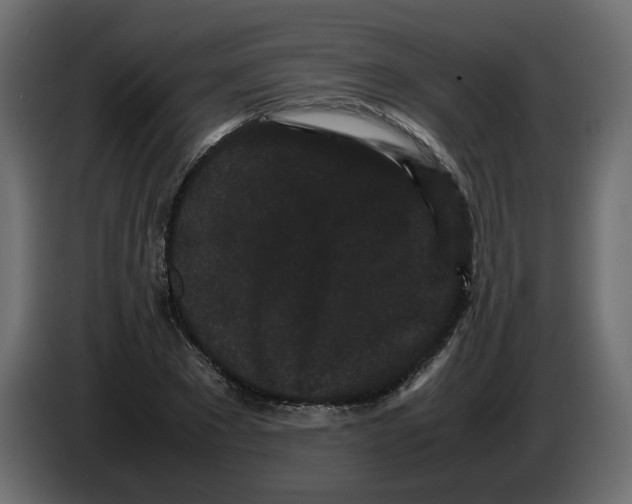 X0000082940881200703020125