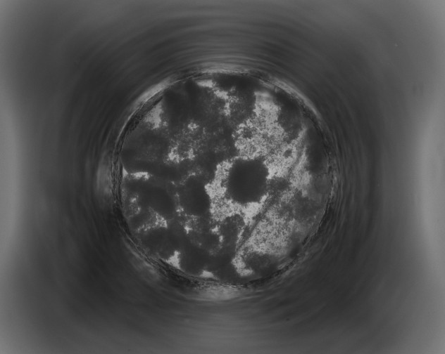 X0000082940882200703020125