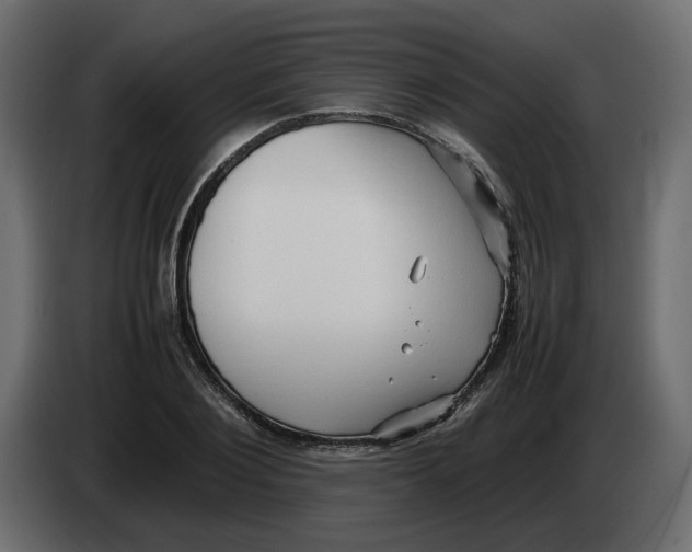 X0000082940884200703020125