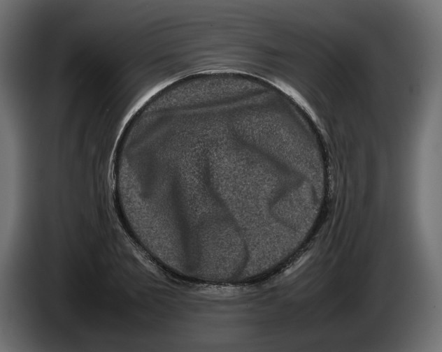 X0000082940885200703020125