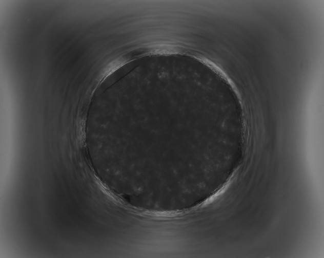 X0000082940889200703020125