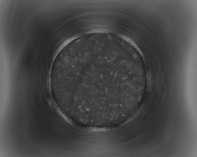 X0000082940890200703020125